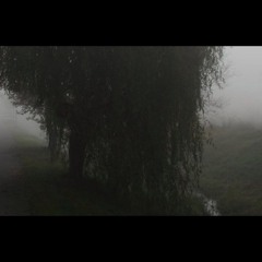 WillowTree Ft bnevasettle prod.SiliconeHearts