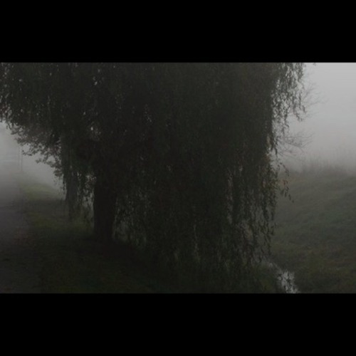 WillowTree Ft bnevasettle prod.SiliconeHearts