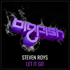 Steven Roys - Let it Go