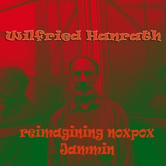 Wilfried Hanrath - Reimagining Jamming (noxpox)