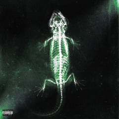 The Light “Prod.Noevdv”