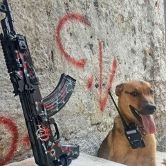 MC JP DO AFEGA - MEGA PROS PIT DO COMANDO (( LIGEIRINHO FXP )) 2023.wav