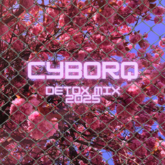 Detox Mix 2025
