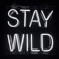 stay wild IV