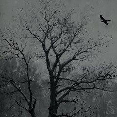 “coy” by juicy syrup & matr!x