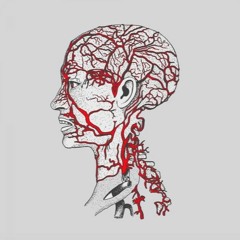 "Circulation" ep - out 12th March on Shall Not Fade