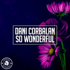 Dani Corbalan - So Wonderful [Rework]