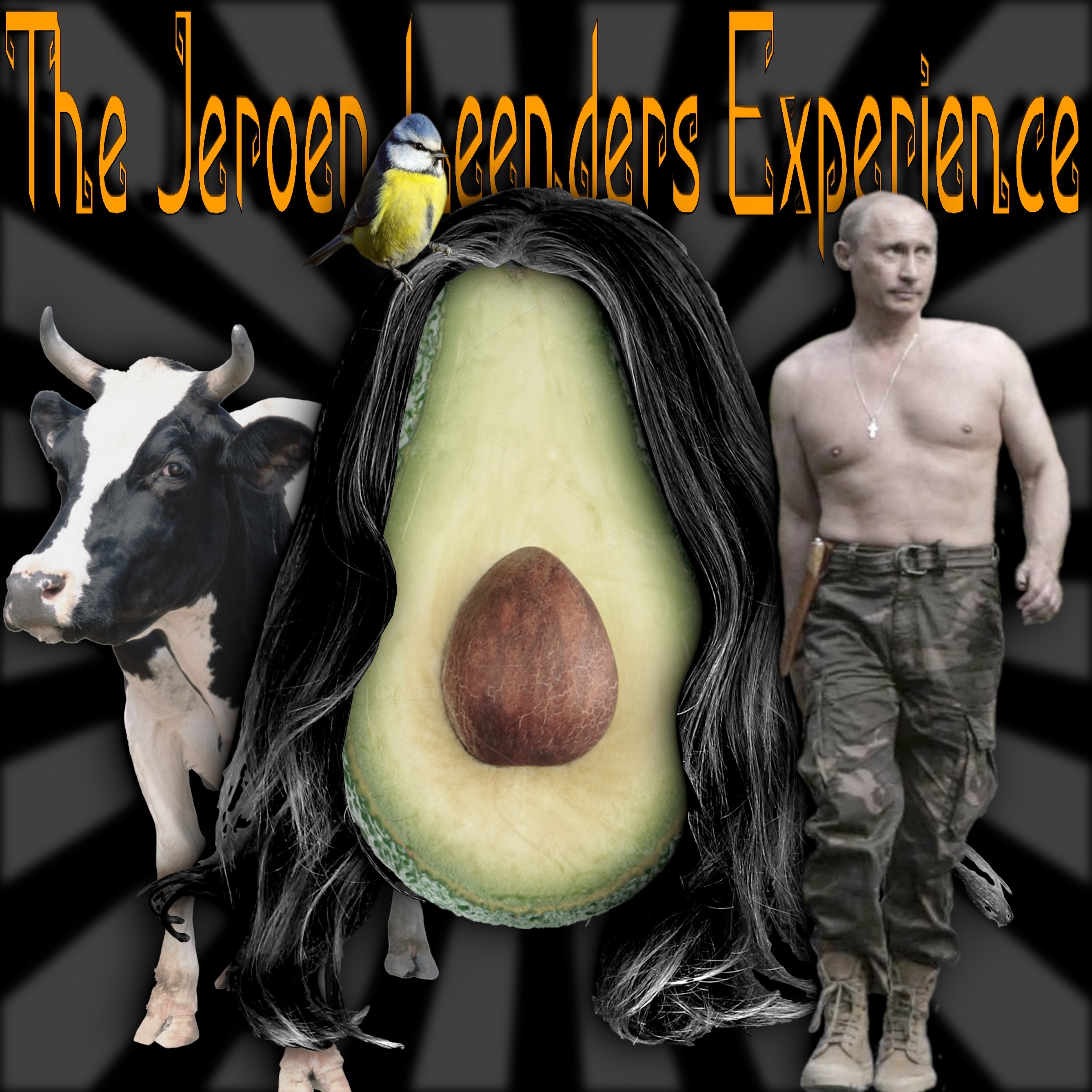 Jeroen Leenders Experience