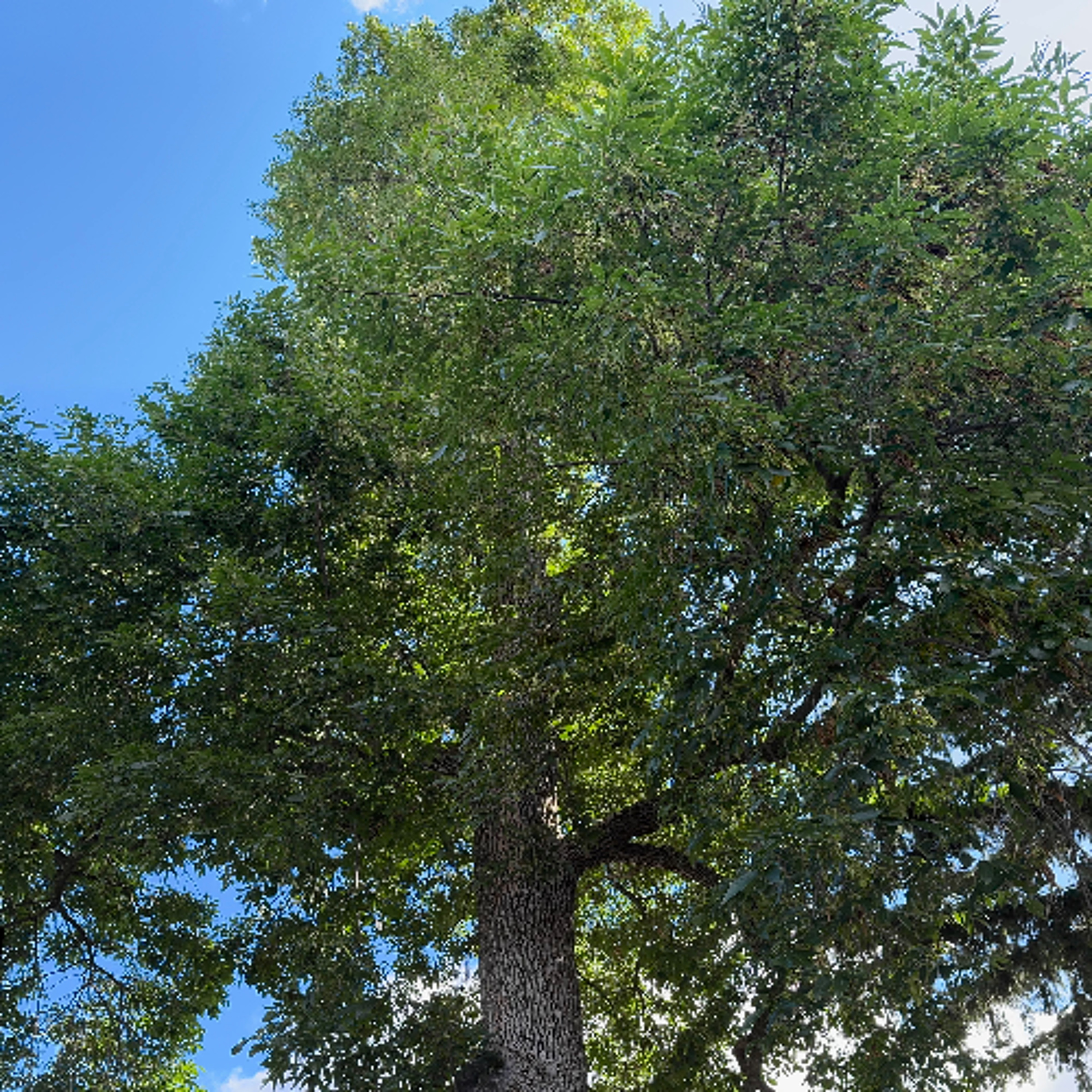 Forecast from Wednesday 3-18-26