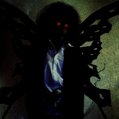Moth
