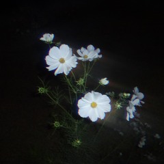 the very pulse of the machine