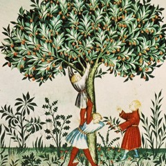 La Tête Sous L'arbre