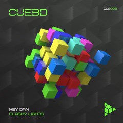 Hey Dan - Flashy Lights (Original Mix)