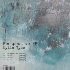 Kylin Tyce - Perspective EP [KTD003]