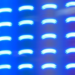 searching for the rosebud in the pyre