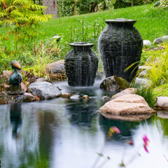 Ep. 10: Minnesota Birds and Water Features: Creating the Perfect Retreat with Birdhouses and Feeders