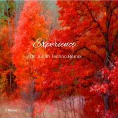 Experience (DJ Julian Techno Remix)