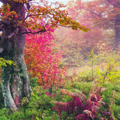 ( SIXSENSE REMAKE  ) יוסי עדן - רק אותך אני אהבתי