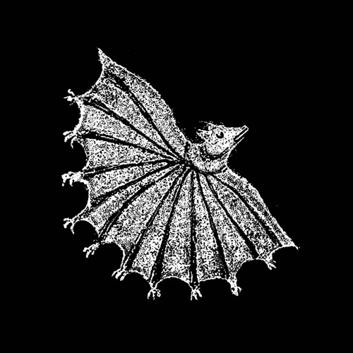 The Real Chaos Cha Cha Cha