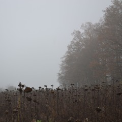 broken oar and a rusted axe