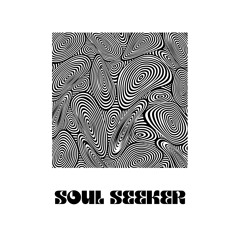 Soul Seeker