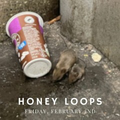 Live at Honey Loops (02.02.2024)