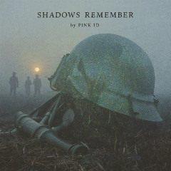 Shadows Remember