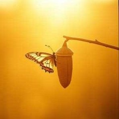 COCOON