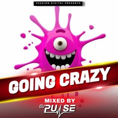 DJ Pulse Going Crazy