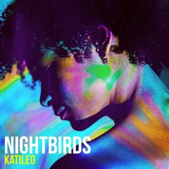Nightbirds #15