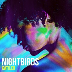 Nightbirds 15