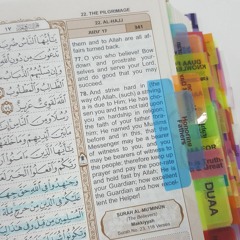 Quran Recitation | تلاوات قراَنية
