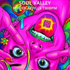 soulvalley  Power RefiLL 190bpm  Psy bird recordS