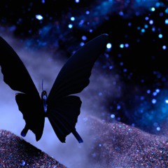 Black Butterfly