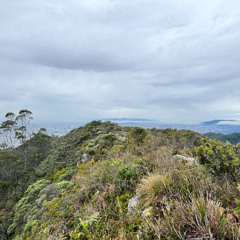 blue mountains