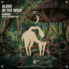 Rønhöff - Alone In The Wild (Cafe De Anatolia)