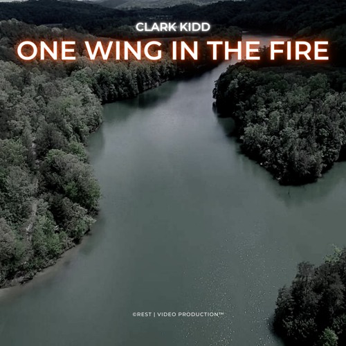 One Wing In The Fire