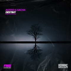 Alesso & Sacha - Destiny (Robbie Graham Remix)