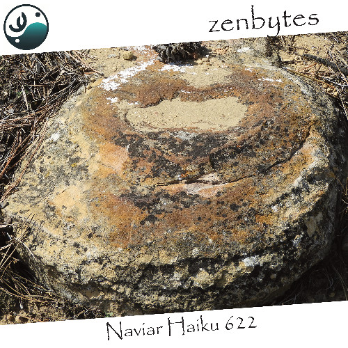 procession - Naviarhaiku622