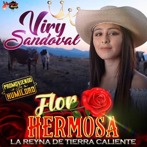 Stream Viry Sandoval | Listen to Flor Hermosa playlist online for free on  SoundCloud