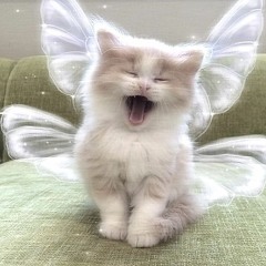 grrra