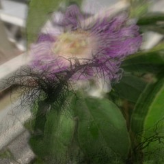 8ight k & Rin- Tragedies (pr. artemys)