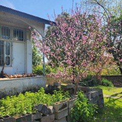 رباعی های مامبزرگ.m4a