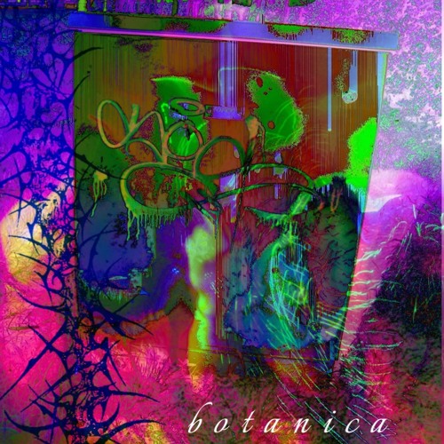 ｡˚₊❀༉₊˚⊹⋆⋆༊⊹ Botanica ˚₊⟡˚｡⋆✧･ﾟ✩˚₊‧₊˚｡ (CB1 x Runthatmana)