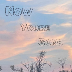 Now youre gone - Sped up & hardtekk