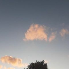 Needle And The Damage Done