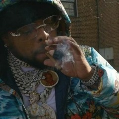 Westside Gunn - Michael Irvin (STEEZ NUTZ Remix)
