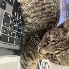 Drum-Programming-Lab-Final