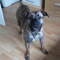 TRANCEY EDM MIX.(3_9_2022)