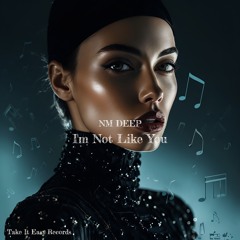 NM Deep - I'm Not Like You (Original Mix)
